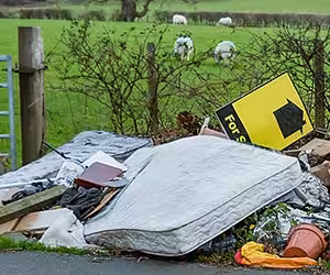 House Clearance Horror Stories & How to Avoid Your Own